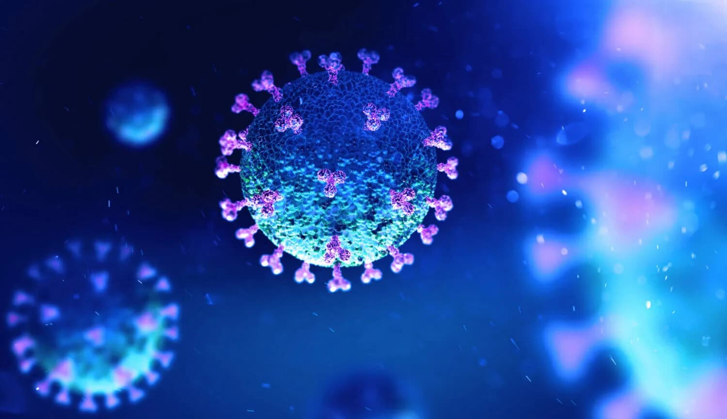 computer virus image