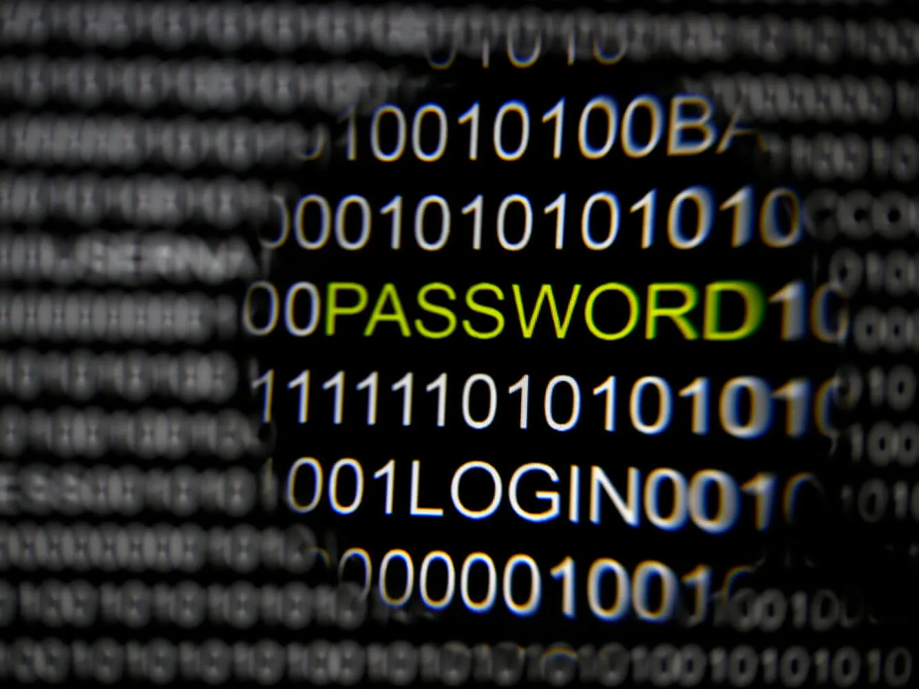 Password