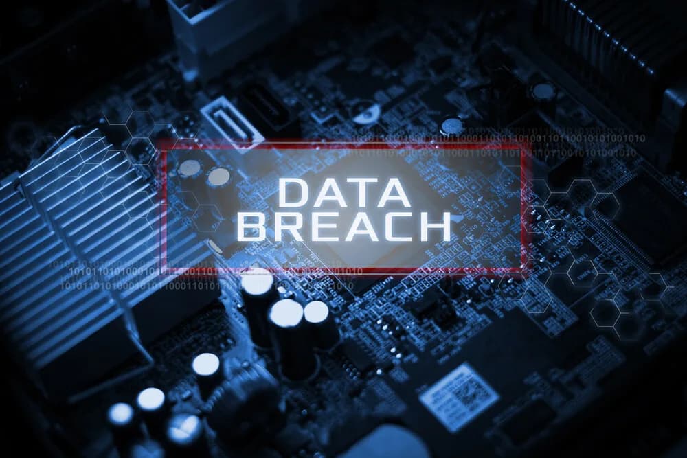 What to Do if You’re the Victim of a Data Breach