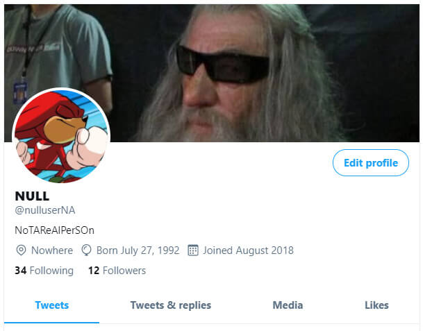 Null Twitter Account Profile